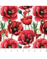 Ooh La La! Poppies (25162)