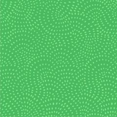 Twist: Kiwi (23580)