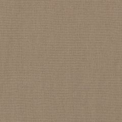 Sweatshirt Fabric: Taupe (25318)