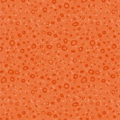 Ahoy Baby: Bubbles Orange (25795)