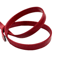 Stephanoise | 10mm Faux Leather Webbing | Red: per metre